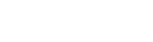 武汉百思瑞软件技术服务有限公司